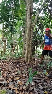 Kusog ba😂🤣 Potot Vlog Rex - cell BOY Washing Machine #goodvibes | Kuya jav's tv