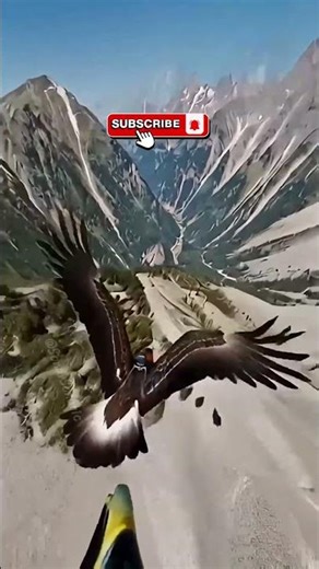 POV: You Are a Golden Eagle Flying Over the Mountains #wildlife #naturedocumentary