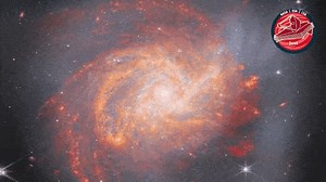 251 reactions · 24 shares | A head-on collision between two equally massive spiral galaxies gave raise to this view of NGC 3256 and its long tendrils of bright gas and stars which extend outwards from the main body of the galaxy. Check out more .gifs at our giphy page: https://ow.ly/pPeZ50P5VIq | James Webb Space Telescope | Facebook