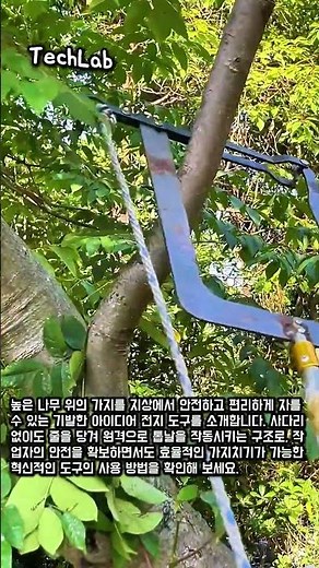 사다리 없이 높은 가지 자르는 기발한 도구 #worker #process #diy #invention #equipment