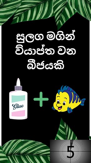 It's You | General Knowledge පරීක්ෂා කරලා බලන්න! ඔයාගේ පිළිතුරු පහළින් Comment කරන්න!🏆🥇 #IQZone #SinhalaIQ #LankaIQ #BrainChallenge #GeneralKnowledge #IQMasterLK #SmartQuizLanka #LankaMindTest #FunIQZone #DailyIQChallenge #ThinkSmartLearnDaily #QuizSinhala #TestYourBrain #LearnWithFun #LankaKnowledgeHub | It's You