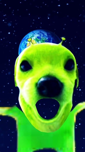 alien dog 😅