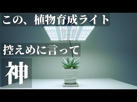 [Recommended] The God of Plant Grow Lights! Review of the "BRIM PANEL X"! The Best Value Panel LE...