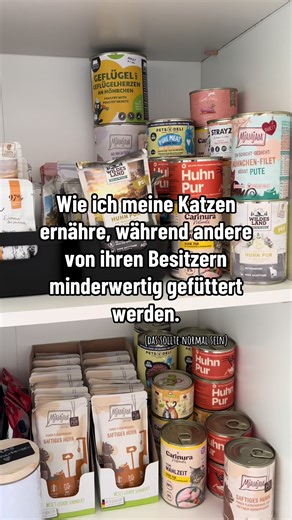 Ich frage mich wirklich, wie es 2026 noch sein kann, dass Katzen mit minderwertigem Futter ernährt werden… Bei all der Aufklärung, den Studien, Tierärzten, Content & Infos da draußen verstehe ich einfach nicht, wie man heute noch im Laden stehen und bewusst sagen kann: „Das reicht schon für meine Katze.“ 🤡 Unsere Katzen sind Familie. Und Familie verdient gutes Futter. 🐾🫶🏻 #katzenfutter #whiskascat #catmom #hochwertigeskatzenfutter #aufklärung
