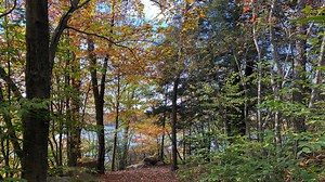 Fall foliage in the Poconos should start to peak in early October