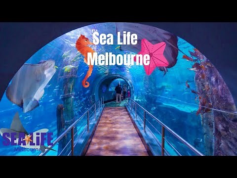 Sea life Melbourne Aquarium Tour | Top Melbourne Attractions | 2021 Australia