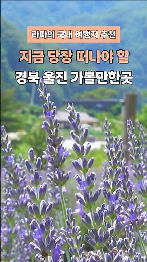 Must-Visit Travel Spots in Uljin, Gyeongbuk: Wolsongjeong, Deunggisan Skywalk, Yangwon Lavender, ...