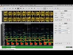 Bitwig Studio & Music Production Course - 1.08 - Sonic Visualizer