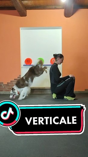 Lusy Imbergerova su TikTok