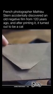 769K views · 25K reactions | In 2020, French photographer Mathieu Stern found a 120-year-old time capsule in his family’s Paris basement with glass plate negatives from around 1900. Using cyanotype, he developed them, revealing a cat—likely a girl’s pet. Stern colorized the cat image, linking past and present. | Historyinmemes | Facebook