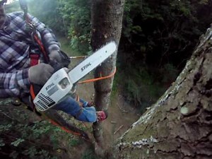 The Snap Cut ... and when to avoid it