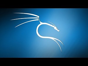 Kali Install Modes Basic Differences