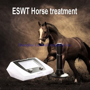 [Hot Item] Veterinary Shock Wave for Racing Horse Equine Shockwave Therapy Equipment