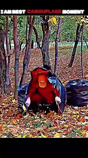 Normal camouflage vs King of camouflage 💀