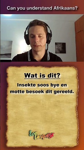 Can you understand Afrikaans? | #2
