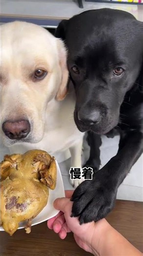 The target language for translation is English.