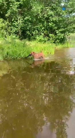 VID_20250716_232058_834.mp4.mov - COS.TV