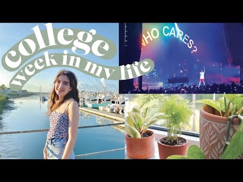 🦋 College Week In My Life @ SCAD | Design Projects, Rex Orange County Concert, + Sand Arts Festival