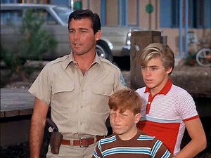 Flipper S01E21 Flippers Treasures - video Dailymotion