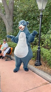 Baloo is out meeting guests at EPCOT today! 🐻✨ Always fun when rare characters pop up! #disneyworld #epcot #disneycharacters | Disney for Foodies