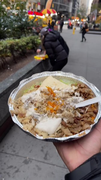 First Time Trying Halal Guys In New York City