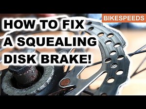 HOW TO FIX SQUEALING DISK BRAKE - Brake & Bike Service