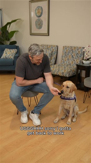 4.4K views · 81 reactions | Hudson is answering all your questions 樂⁠ @DogsInc ⁠ #Q&A #Questions #FAQ #GuideDogs #Blind #Blindness #Awareness #Funny #Dogs #Cute | Two Blind Brothers | Facebook