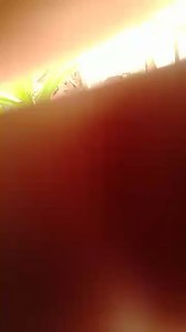 Biology LIFE PROCESSES COMPETENCY LEVEL QUESTIONS... | Filo