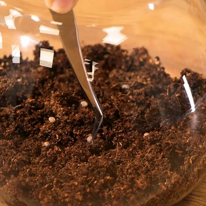 1.9K views | Cool indoor plant hacks to keep your garden green | 5-Minute Crafts House | Facebook