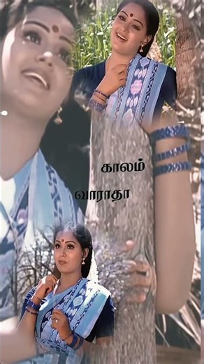 Ooru Sanam Thoongirichu Song Lyrics #mohan #radha #amala #illayaraja #evergreen #tamilsong