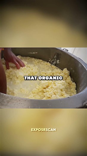 Annie’s Mac Has a Chemical Linked to Infertility 🧀