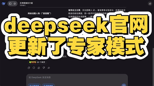 deepseek官网更新了专家模式