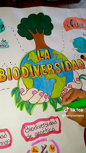 Mapa Mental de la Biodiversidad: Fácil y Creativo