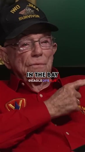 TRUTH BEHIND WW2 USA FLAG