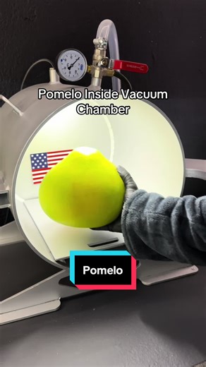 Pomelo Inside Vacuum Chamber… What’s next? #interstellar #fyp #stem #cinamoroll