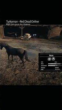 RDR2 • All Turkoman Horse Colors and Locations • Red Dead Redemption 2