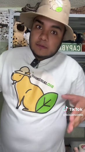 El águila más grande del mundo: el águila harpía