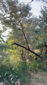 Vocab time! We're breaking down common RV camping terms so you can decide which is the best fit for you. 🚐🏕 Start your next adventure: https://rvshare.com/ | RVshare