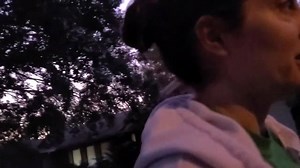 Ollie the morkie and his family have done an excellent job in Virtual Puppy Class! Now that he's here we are layering low level pressure over his commands of come, heel, sit, place, and down! He's well on his way to being the best behaved little dude on the block :) | Take the Lead K9 Training