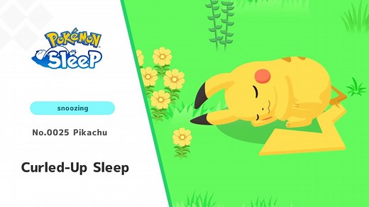 Look at this adorable snoozing Pikachu. 😴 | Pokémon