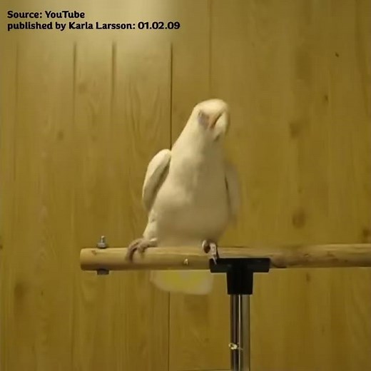 It's Friday - let's dance! #FreeTheJoy