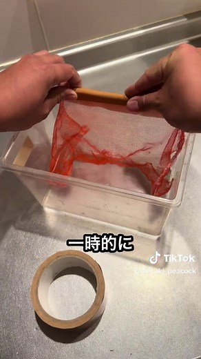 アブラコウモリを公園で保護する方法と回復記録
