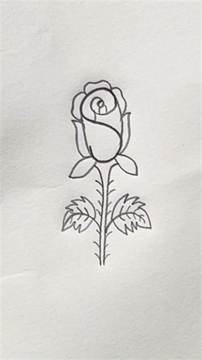 How to draw a flowers of rose 🌹✏️ #easydrawing #youtubeshorts #art #drawingtutorial #howtodraw