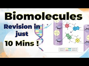 Biomolecules Complete Revision Video Lecture | Chemistry for JEE Main and Advanced