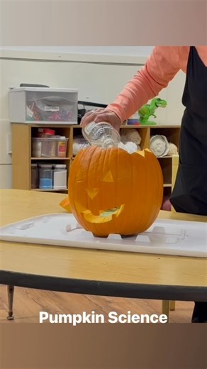 Little Steps To Learning on Reels