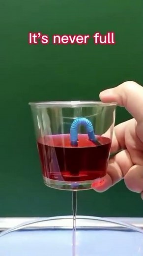 Pythagoras Cup | Greedy Cup | It's never full