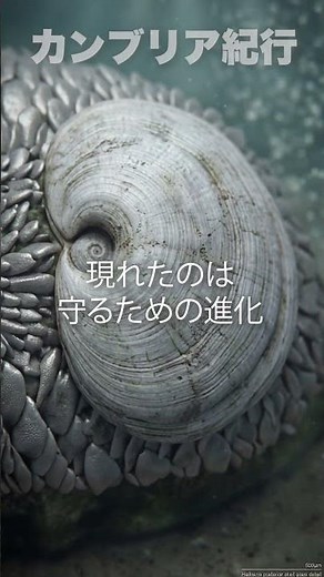 【カンブリア爆発】5億年前に戦争のはじまり