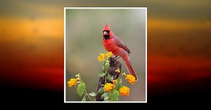 Daniel Thomas Monahan Obituary July 6, 2025 - Moloney Family Funeral Homes, Inc.