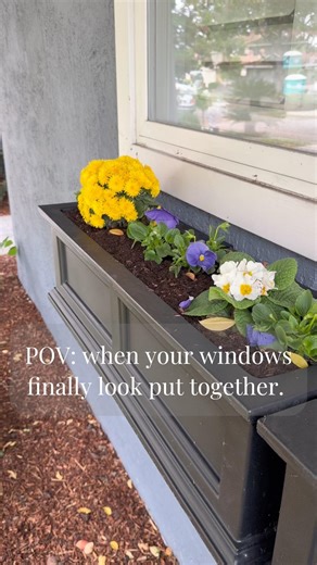 Easy Curb Appeal Upgrade | Window Flower Boxes
