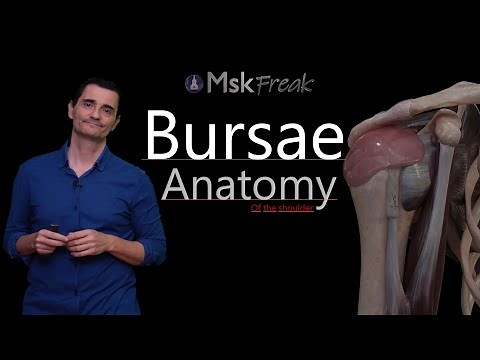 ANATOMY OF THE BURSAE OF THE SHOULDER (PART I) | Key Relationships & Updated Concepts